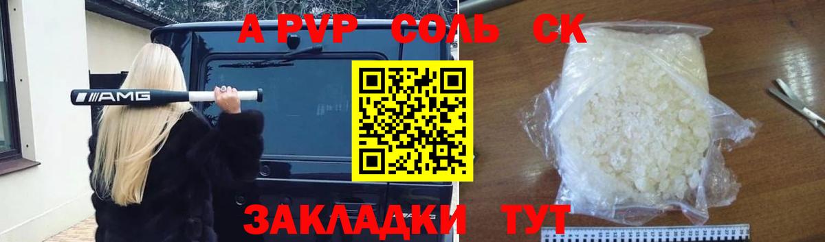 Альфа ПВП СК Новодвинск