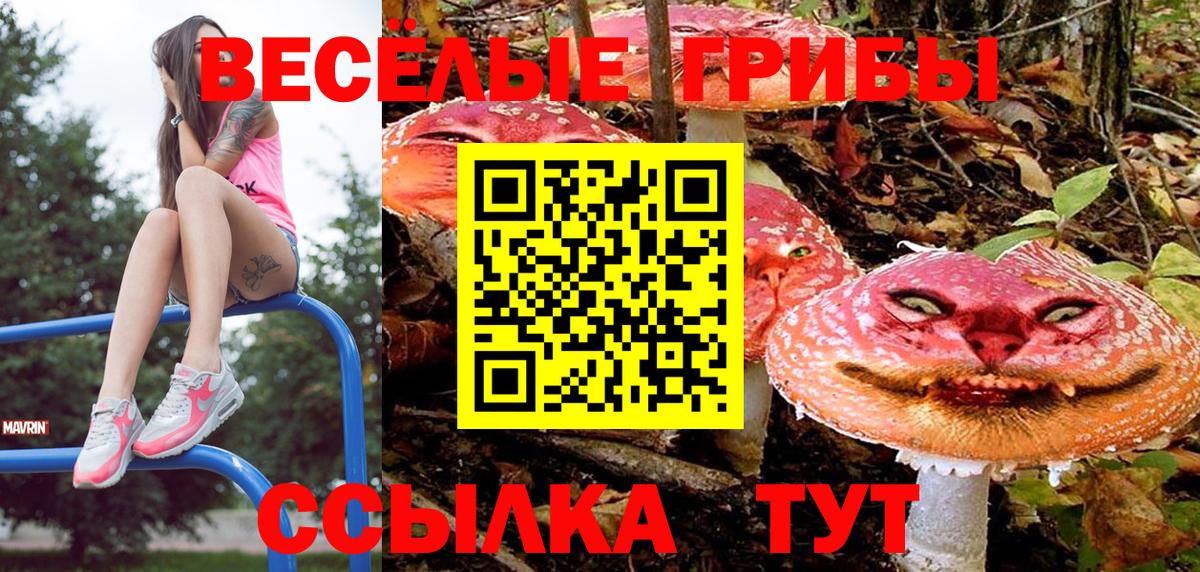 Новодвинск  Псилоцибиновые грибы прущие грибы  Вход с VPN  Галлюциногенные грибы мухоморы 